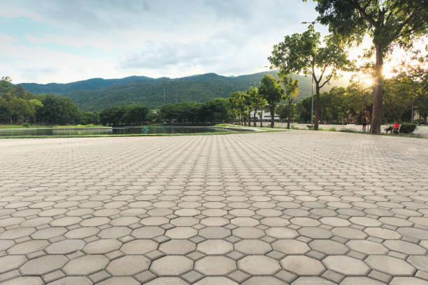 Best Residential Paver Driveway  in Mickleton, NJ